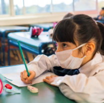 Piden la vuelta a las aulas: proponen que se analice la situación en cada escuela