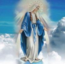 Hoy se inicia la Novena a la Virgen de la Medalla Milagrosa