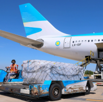 Otro vuelo de Aerolíneas parte en busca de la segunda tanda de la Sputnik V