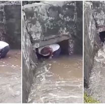 Salteño arriesgo su vida y se metió a un canal para rescatar a perrito callejero