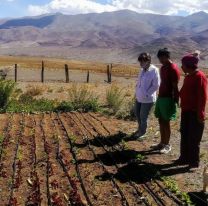 La Fundación Alfarcito instala un sistema riego a productores de la Puna