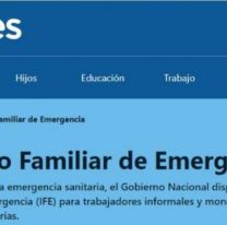 Éste es el nuevo IFE de Anses: mirá cómo anotarte