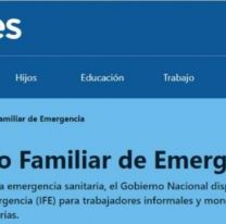 Éste es el nuevo IFE de Anses: mirá cómo anotarte