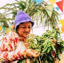Salta realizará una “peña con protocolos” para celebrar el carnaval