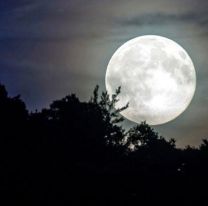 Esta noche se podrá observar a la “Luna de Nieve en todo su esplendor