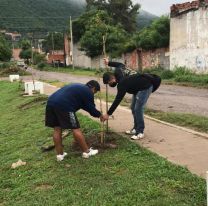Se realizó una nueva plantación de árboles junto a vecinos de Villa Floresta
