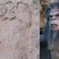 Aseguran que el famoso “Ucumar” existe y también vive en Salta