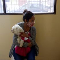 Los turnos para castraciones gratuitas se darán de manera “On Line”