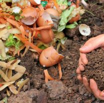 Por qué deberías empezar a compostar y cómo hacerlo en espacios pequeños