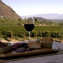 Capacitación gratuita sobre vinos en la semana del Malbec en Salta