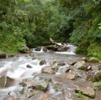 ?Fabiana Cari estaba sentada en una piedra a la orilla del río?