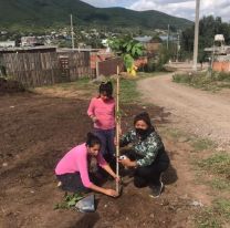 Salta lleva plantados más de 400 árboles desde inicio de año