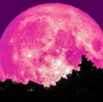 Superluna rosa 2021: cómo y dónde ver la luna llena de abril