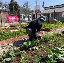 Sumate a los talleres sobre “Huertas en Casa” gratuitos