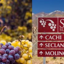 Capacitación gratuita sobre la Ruta del Vino de Salta