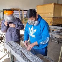 Está casi terminada la recuperación de los durmientes