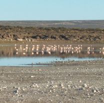 Laguna del Toro: una travesía con paisajes únicos en Salta