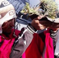 Hoy el Mercado Artesanal celebra a la Pachamama con un convite