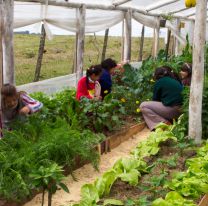 Dictarán un taller gratuito de huertas orgánicas en el Parque de la Familia