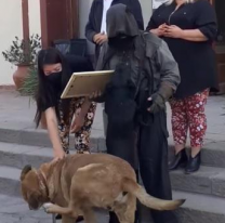 VIDEO | Abdul fue reconocido por su labor con los perritos y pidió una fiscalía animal