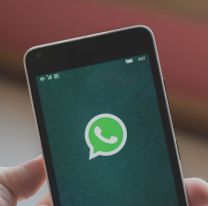 Usuarios de SAETA pueden gestionar su turno de atención desde WhatsApp