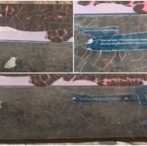 Cartelería turística en mal estado: piden su renovación