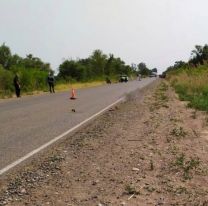 Con financiamiento nacional se repavimentará la ruta provincial 5