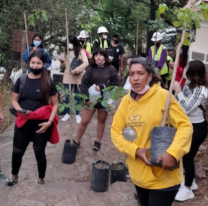 Nueva jornada de forestación en el cerro San Bernardo