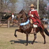 Se vive a pleno la edición 39° del concurso Nacional de Caballos Peruanos de Paso en Salta