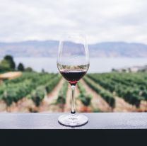 Día del vino Argentino, único en el mundo