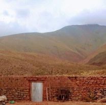 Un albañil de Salta montó el segundo invernadero más alto del mundo