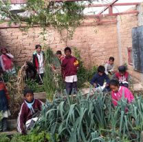 Es una escuela rural de Salta, caminan 2Km para llegar y tuvo deserción 0 en pandemia