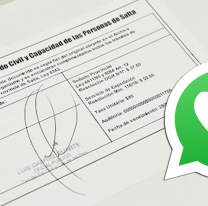 Dentro de poco salteños podrán pedir partidas de nacimiento por WhatsApp