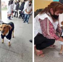 ?Jason?, el callejerito que se ganó el amor de toda una escuela y tuvo su acto de fin de año