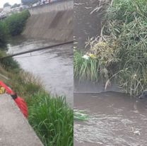 Bomberos salvaron a un perrito que cayó en el canal de Av. Yrigoyen