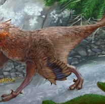 Descubrieron una nueva especie de dinosaurio carnívoro que vivió hace 83 millones de años