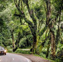 ¡No te vayas lejos! / Mirá cuál es el lugar perfecto para vacacionar en Salta