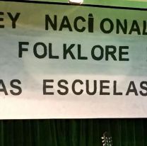 Lanzaron una campaña para que los Diputados traten el proyecto de Ley De Folklore en las escuelas