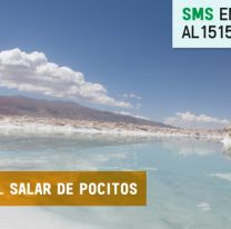 ¡A votar! El Salar de Pocitos es finalista de la campaña 7 Maravillas Naturales Argentinas