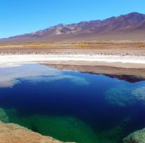 Surrealista: tres lagunas rodeadas por un desierto de sal en Salta