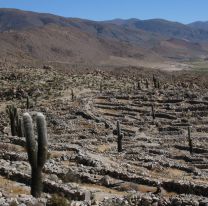 La buena del día / Avanzan los trabajos sobre el QhapaqÑan en las ruinas de Santa Rosa de Tastil