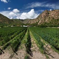 ¡Entrada libre y gratuita! / En Cafayate se celebrará una nueva edición de la Vendimia