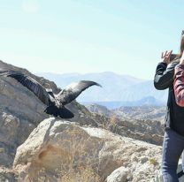 ¡Es mañana! / Luego de una ceremonia ancestral el cóndor Wak&#8217;a será liberado en Cafayate