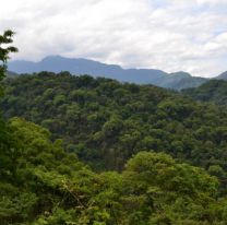 ¡Bien ahí! / Se declaró un nuevo refugio de vida silvestre en el norte de la Provincia