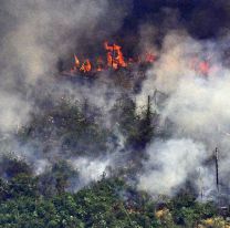 El humo del Amazonas afectará a Salta por 36 horas más