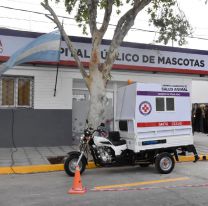 La buena del día | Hoy y mañana atenderá el hospital de mascotas