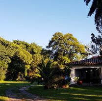 Cine de una Noche de Verano, una propuesta para un domingo diferente