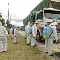 Garantizan la provisión de alimentos para toda la Provincia