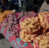 De la Quebrada del Toro a tu mesa: delivery de frutas y verduras