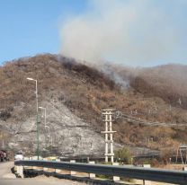 Mañana jóvenes voluntarios reforestarán los cerros del acceso Norte de Salta